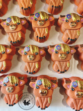 Load image into Gallery viewer, Ellie Highland Cow Bath Bomb