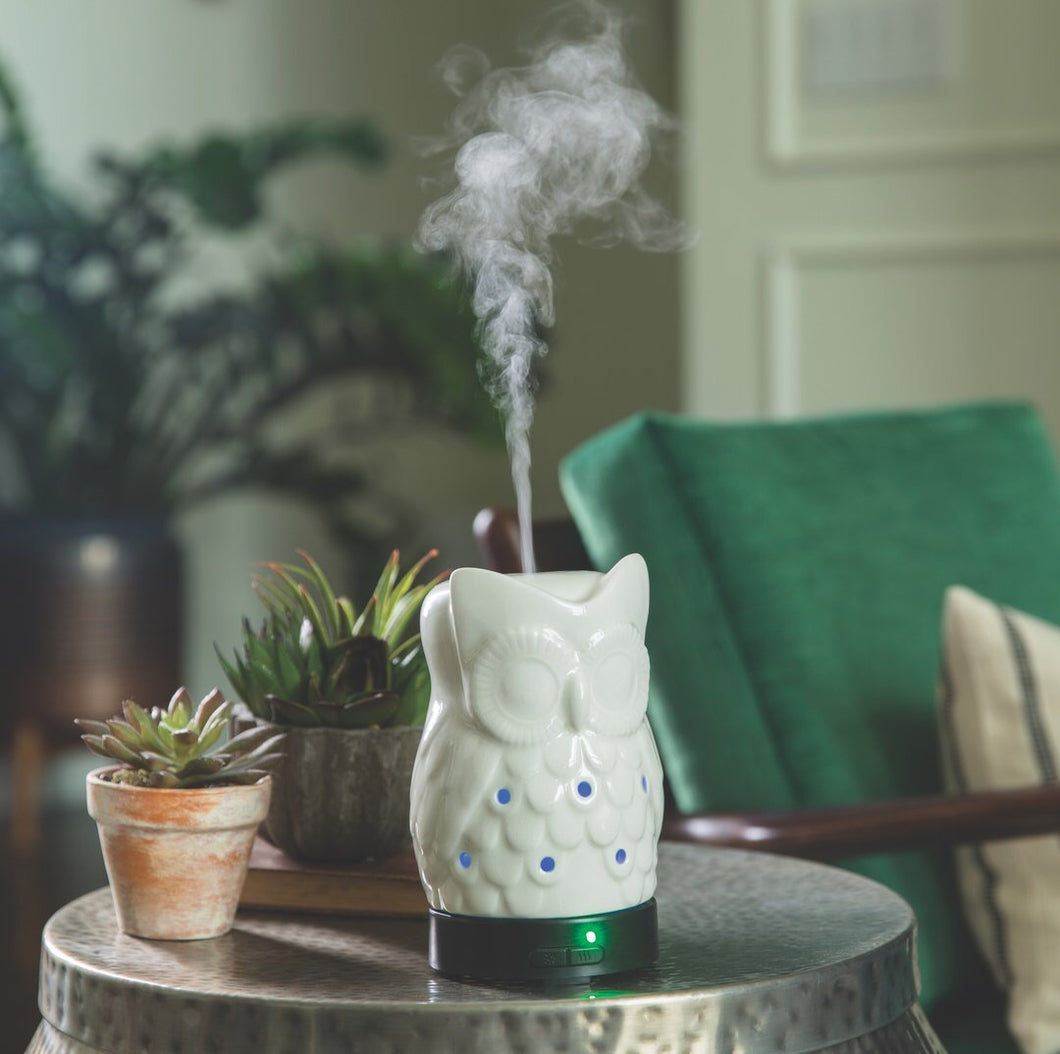 Owl Electric Diffuser